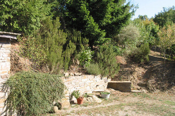 GardenSummer