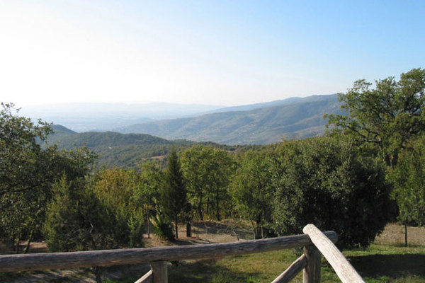 ViewSummer