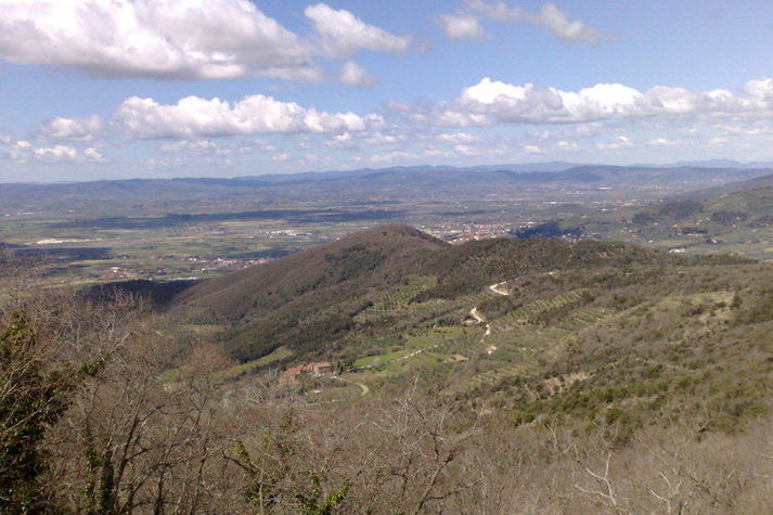 ViewSummer