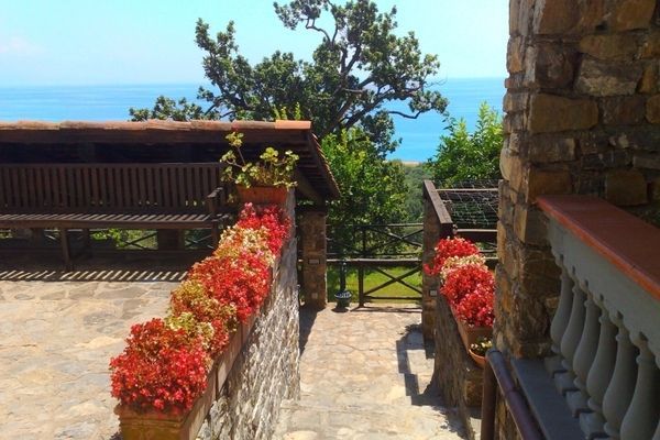 TerraceBalcony