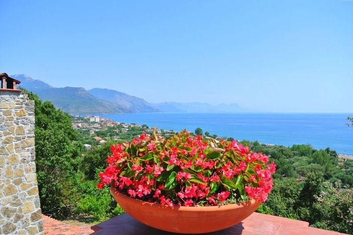ViewSummer