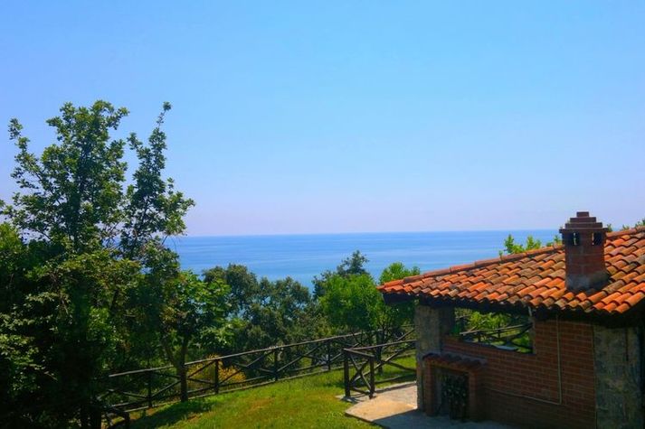 ViewSummer