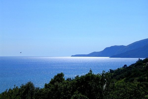 ViewSummer