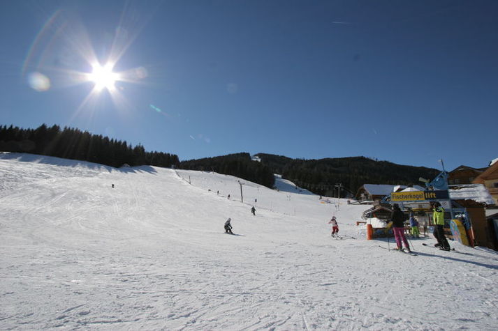 AreaWinter1KM