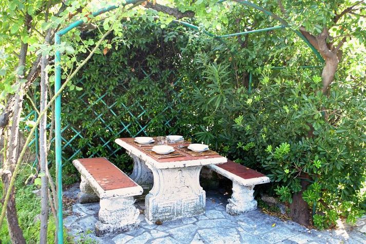 GardenSummer