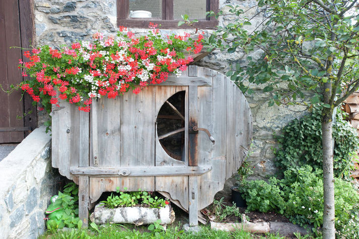 GardenSummer