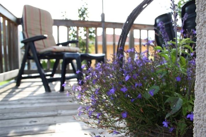 GardenSummer