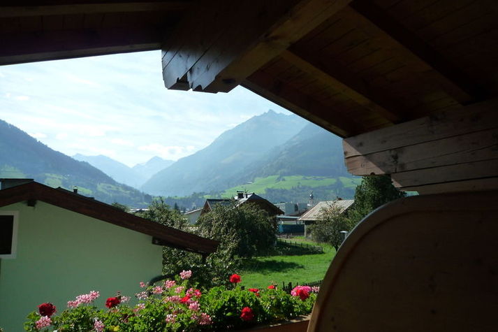 ViewSummer