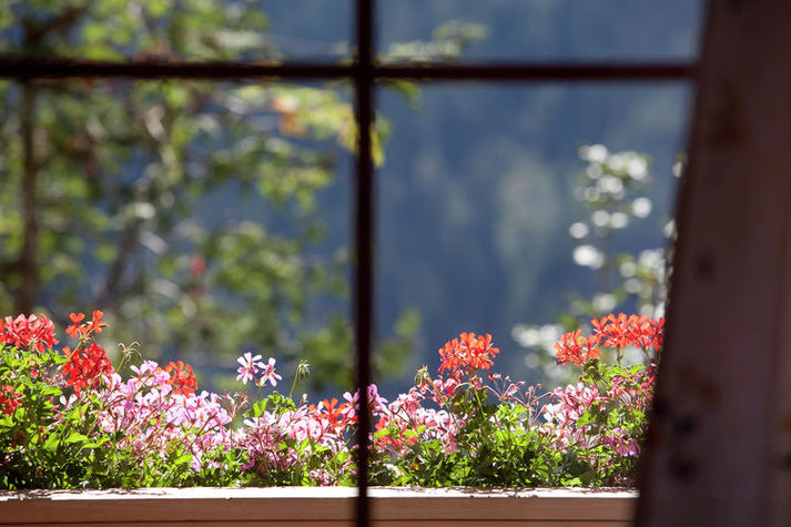 ViewSummer