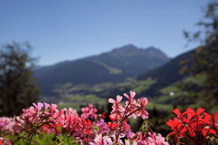 ViewSummer