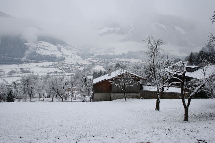 GardenWinter
