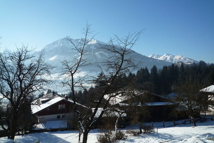 ViewWinter