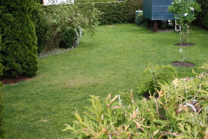 GardenSummer
