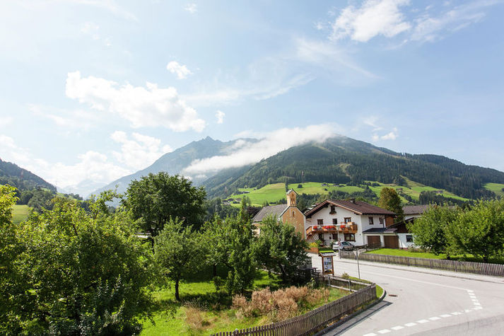 ViewSummer