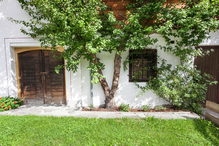 GardenSummer