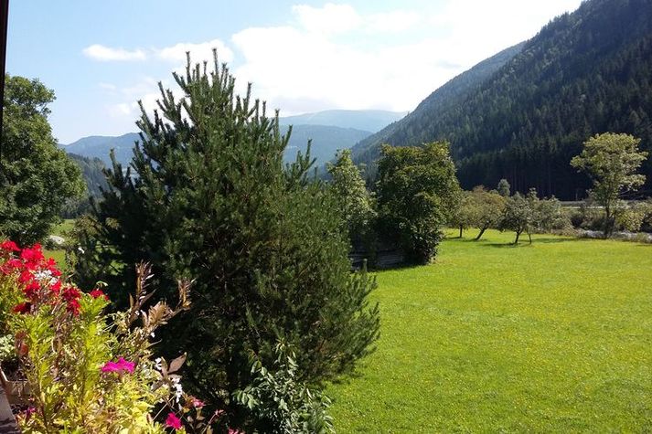 ViewSummer