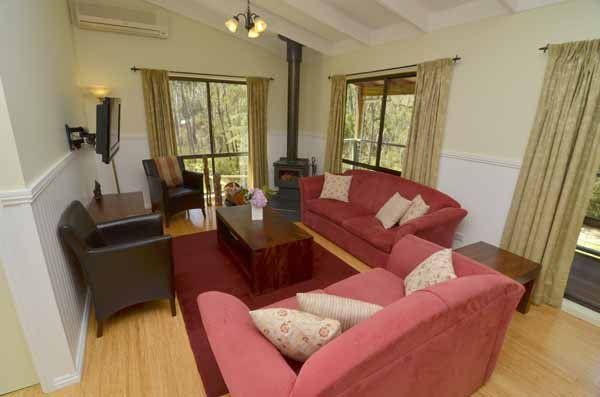 Canopy living area