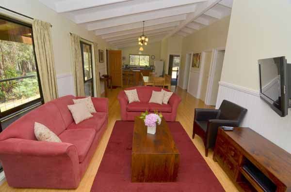 Canopy living area
