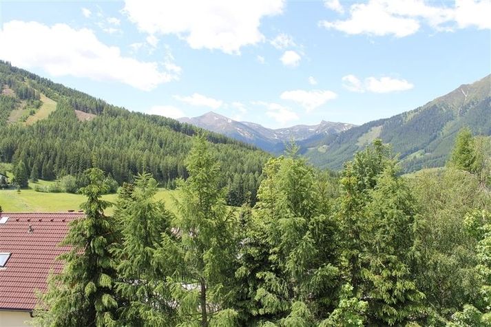 ViewSummer