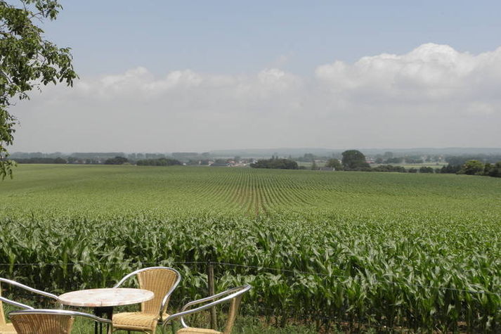 ViewSummer