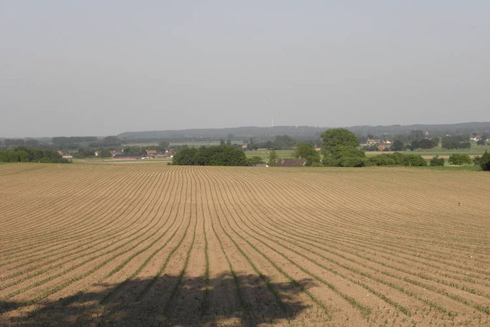 ViewSummer