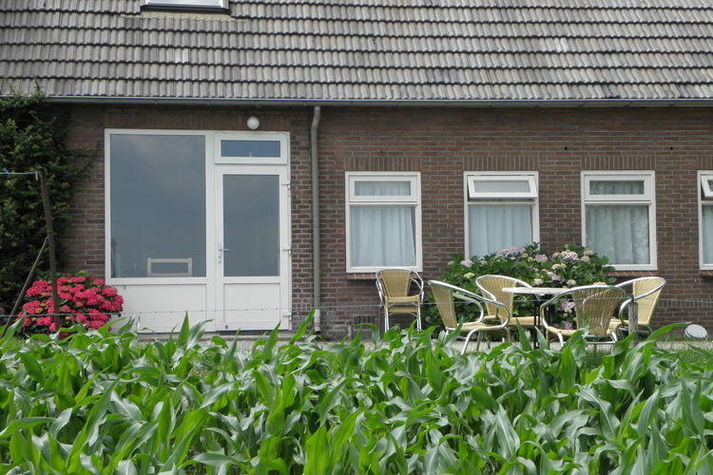 ExteriorSummer
