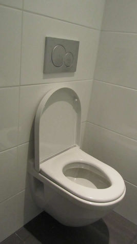 Compact toilet for extra space
