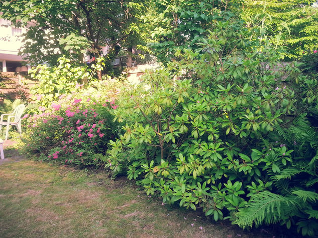 Beautiful flowers too