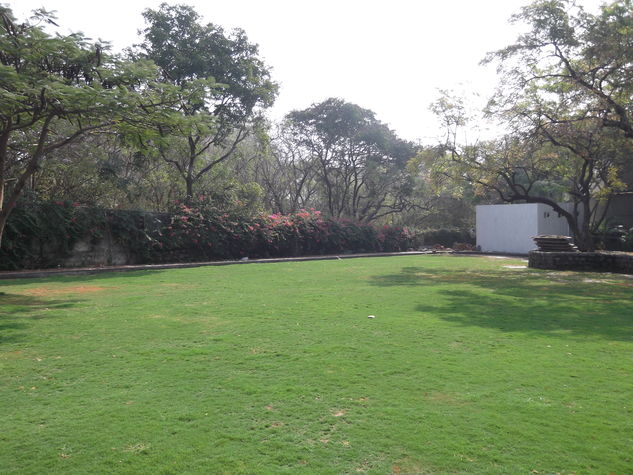 garden