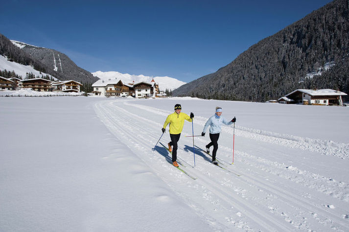 AreaWinter5KM
