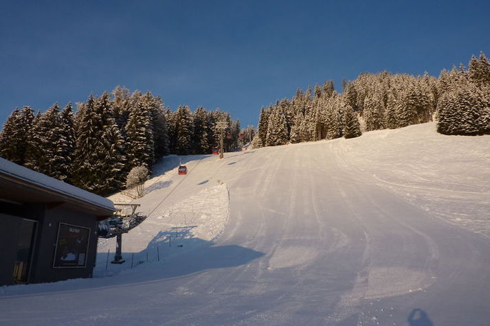 AreaWinter1KM