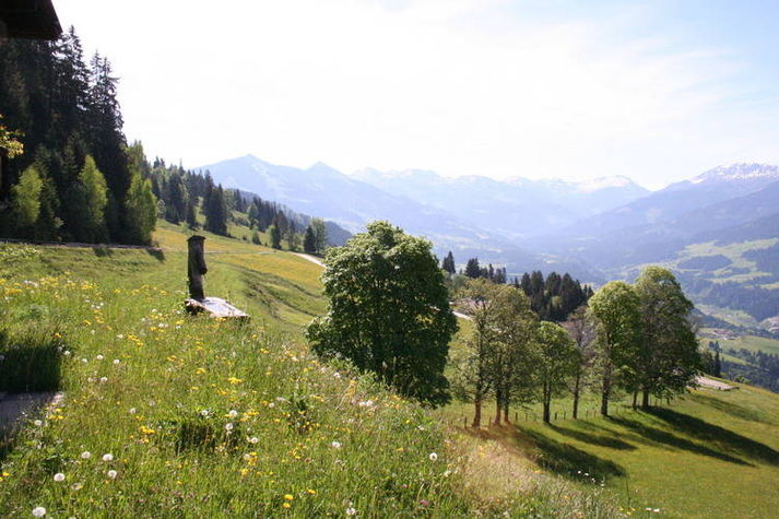 ViewSummer