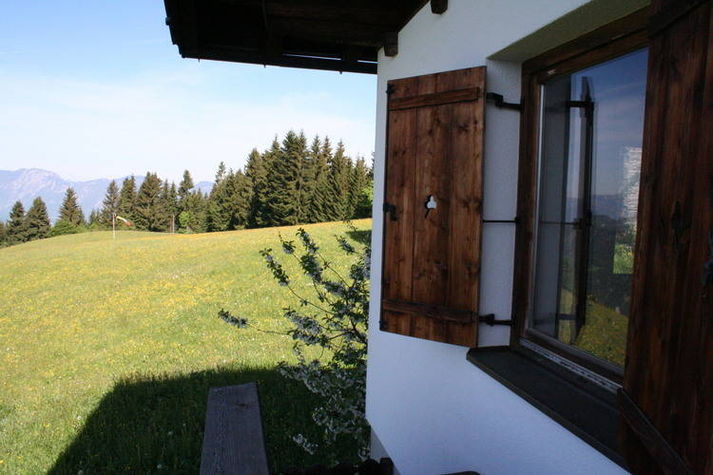 ViewSummer