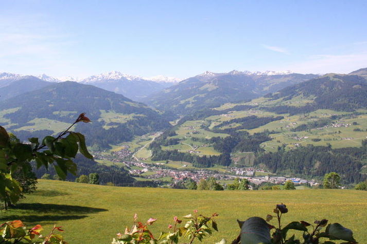 ViewSummer