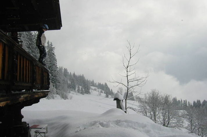 ViewWinter
