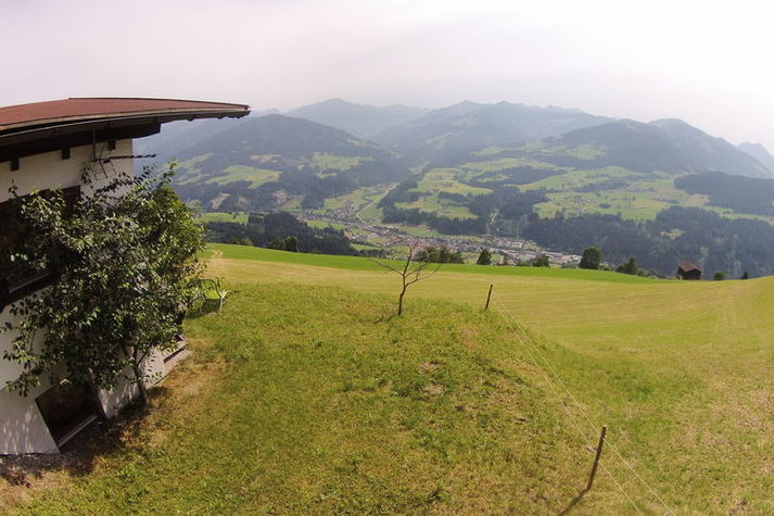 ViewSummer