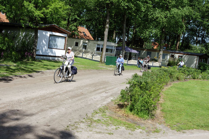AreaSummer1KM