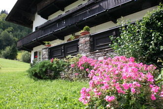 GardenSummer