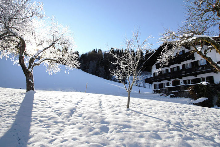 ExteriorWinter