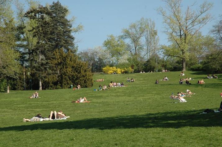 Riegrovy Sady Park, 150m far from the apartment