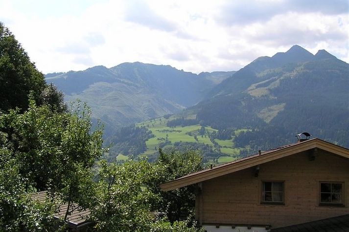 ViewSummer