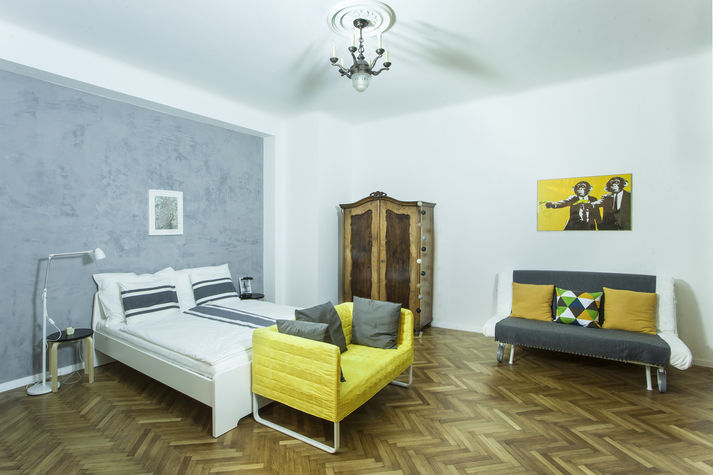 Living room with the king size and sofa bed