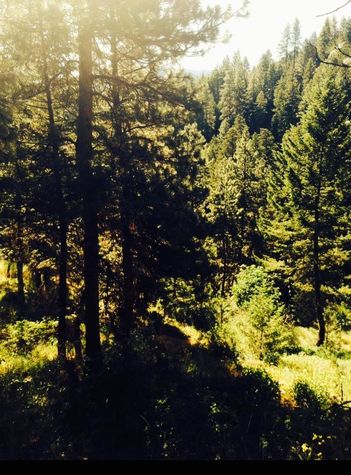Hiking trail