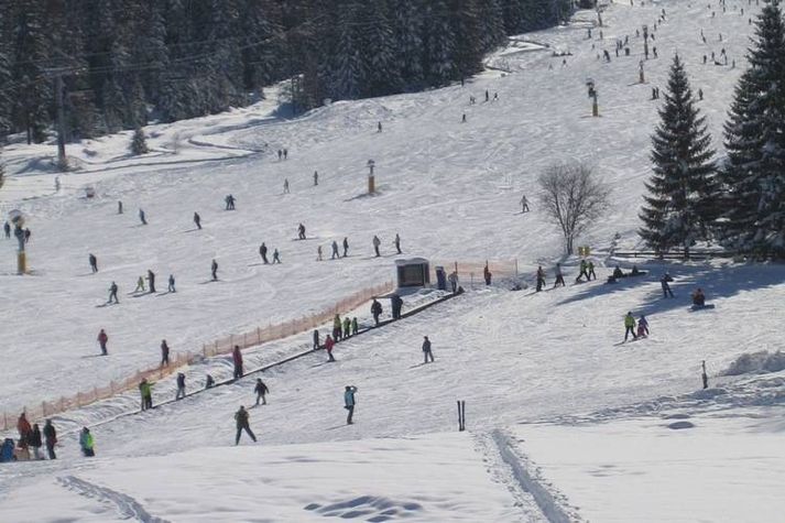 AreaWinter1KM