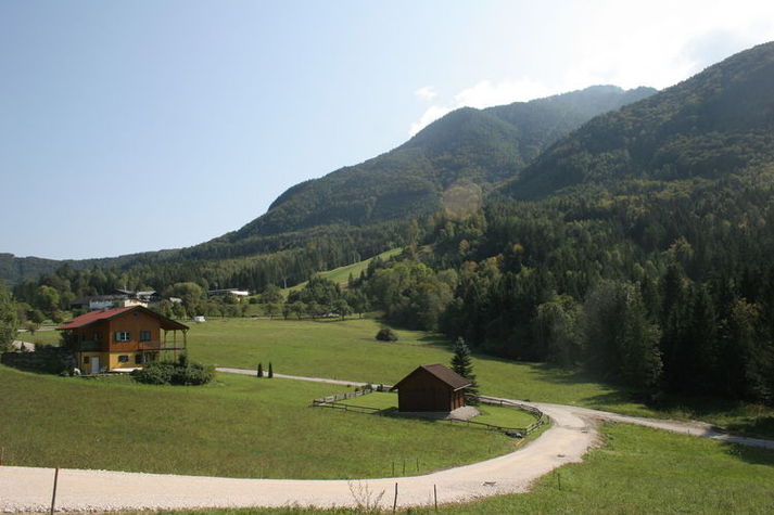 ViewSummer