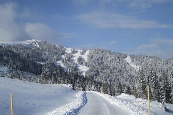 ViewWinter