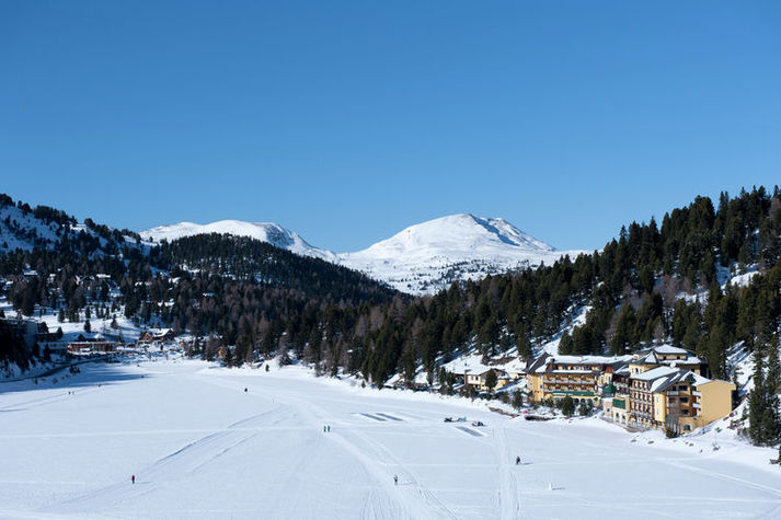 AreaWinter1KM