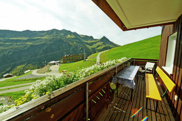 ViewSummer