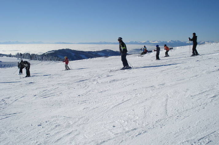 AreaWinter1KM
