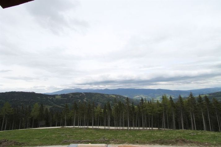 ViewSummer
